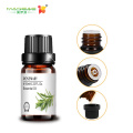 Label Kustom 10ml Minyak Esensial Wewangian Bulk Rosemary