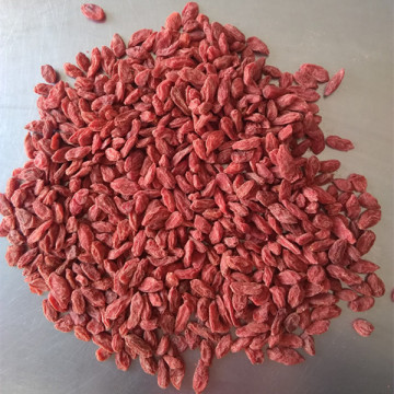 2018 new Sun dried Certified goji berry 380