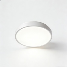 LED ceiling light for interior harmony