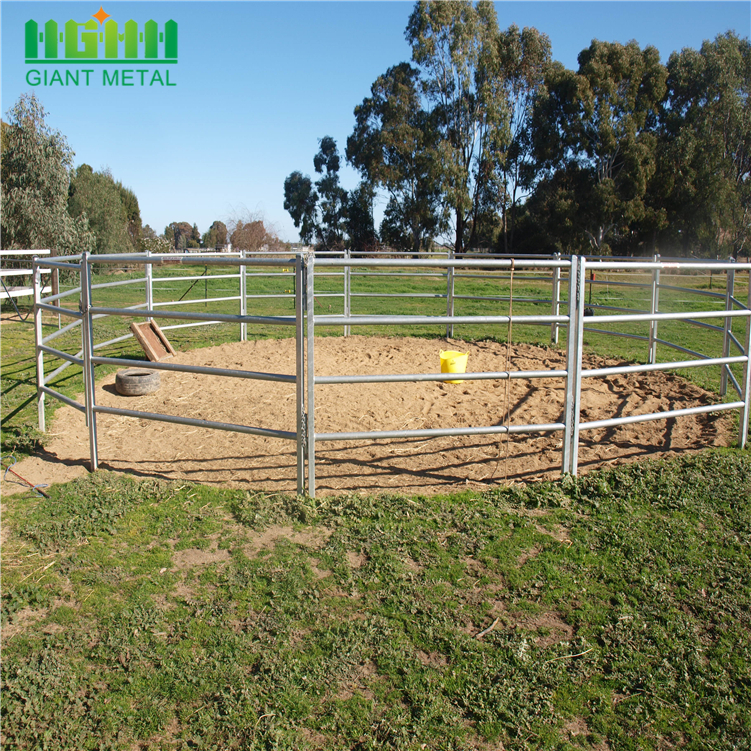 Australia Galvanized Electric Horse Fence