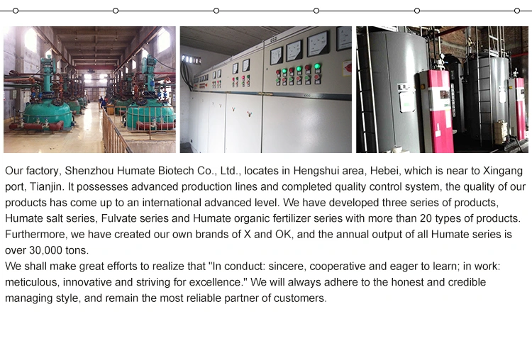 X-Humate Water Soluble Sodium Humate Powder