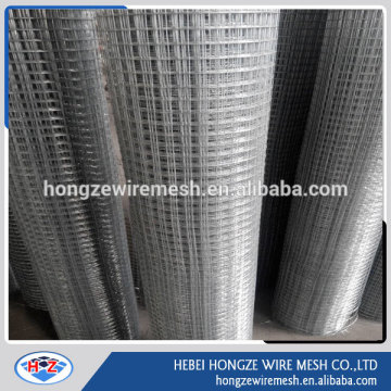 Galvanized Welded Wire mesh/Iron Wire Mesh/10*10 mesh iron wire mesh