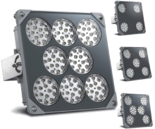 LED Canopy Light