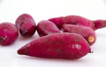 High quality Purple Sweet Potato Extract powder/Purple Sweet Potato powder