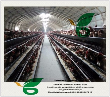 Battery layer poultry rearing chicken cages