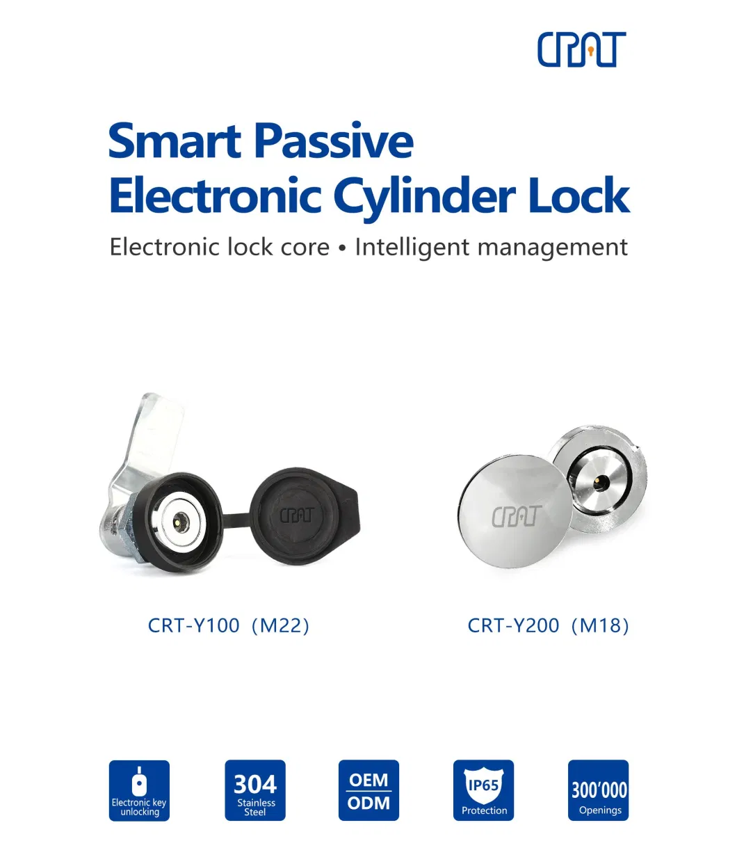 Access Control Management Electronic Passive Cabinet Cam Lock for Post Box