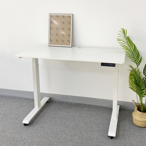 Dual Motor Adjustable Standing Desk Workstation