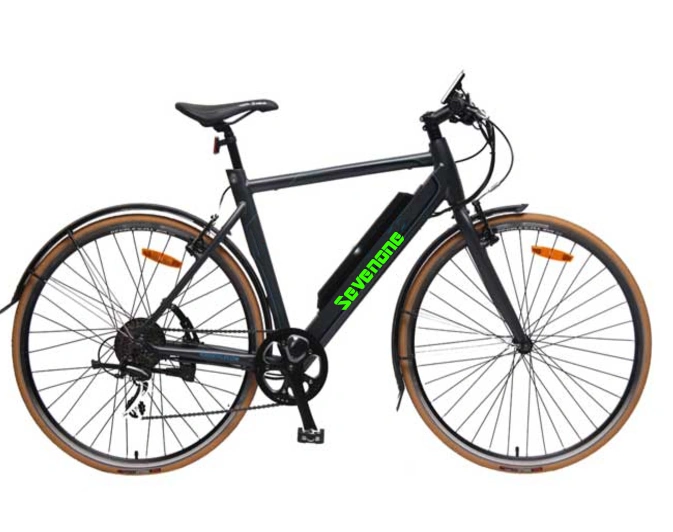 Light Weigt 27.5 Inch Mountain Electric Bike with Rear Motor