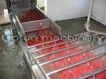 Best Sale Fruit And Vegetable Bubble Washing Machine