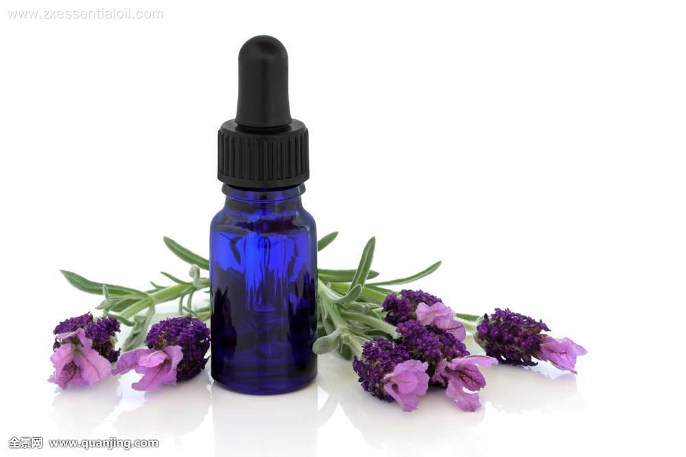 Medical Grade and Cosmetic Grade Lavender Essential Oil