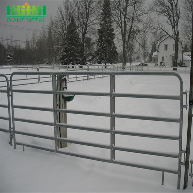 Galvanized Fence Polytape for Horse Fence 40 mm