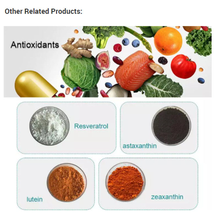 Other Related Products Other Related Products