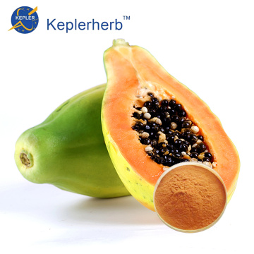 Papaya Extract Powder plant