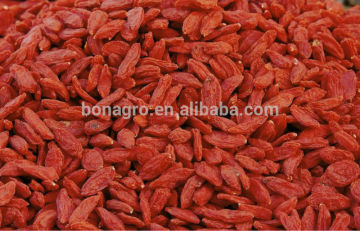 Chinese dried goji berry