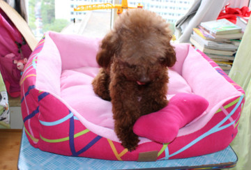 chinese supplier chew proof dog bed for large dog