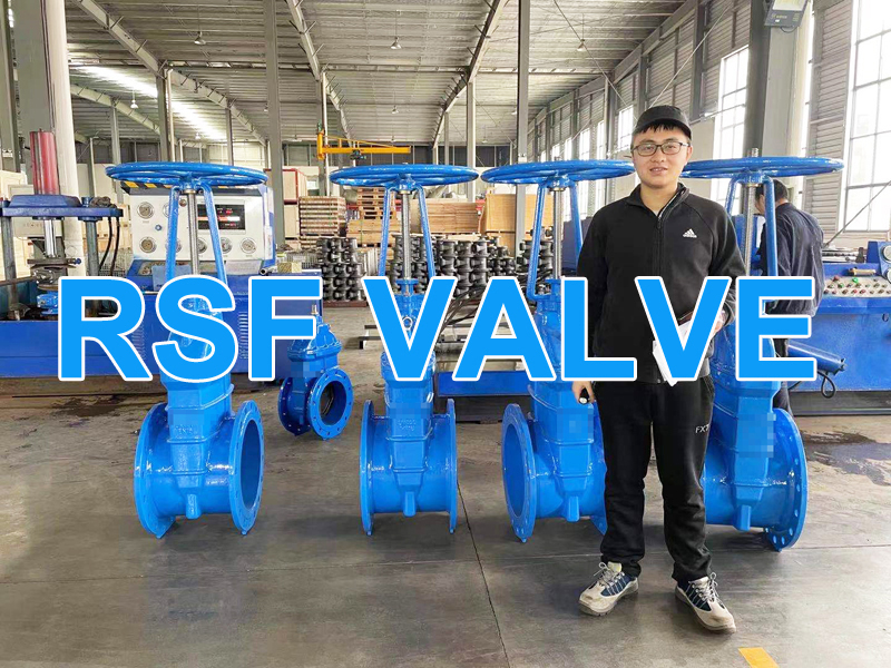 Os Y Rising Stem Din3202 F4 Resilient Gate Valve 3 Rsf Valve Jpg