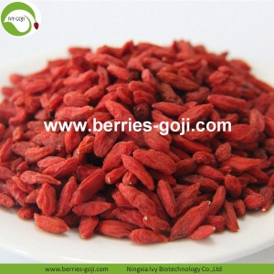 โภชนาการจากโรงงาน Organic Goberries Berries แห้งอินทรีย์