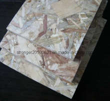 Poplar Core OSB Boards