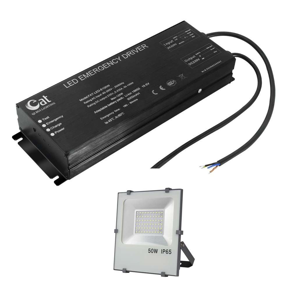 DC230V Output High Power 100W led Emergency driver