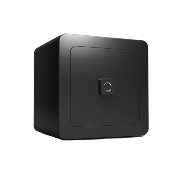 Kolorowe Mini Safe 20cm Home Fingerprint Box