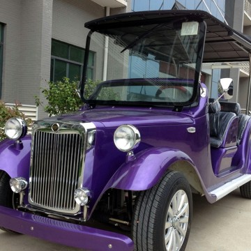 Gas powered 8 seater classic golf cart