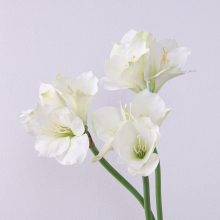 Wholesale 3 Head Amaryllis Artificial Flowers for Wedding and Interior Decoration