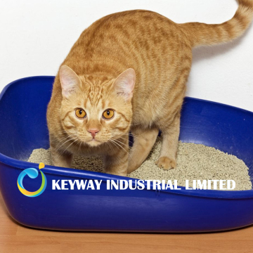 bentonite cat litter manufacture