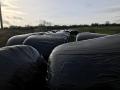 Black Silage Bale Wrap in Grass