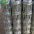 Durable woven iron Wire Netting Field Fence