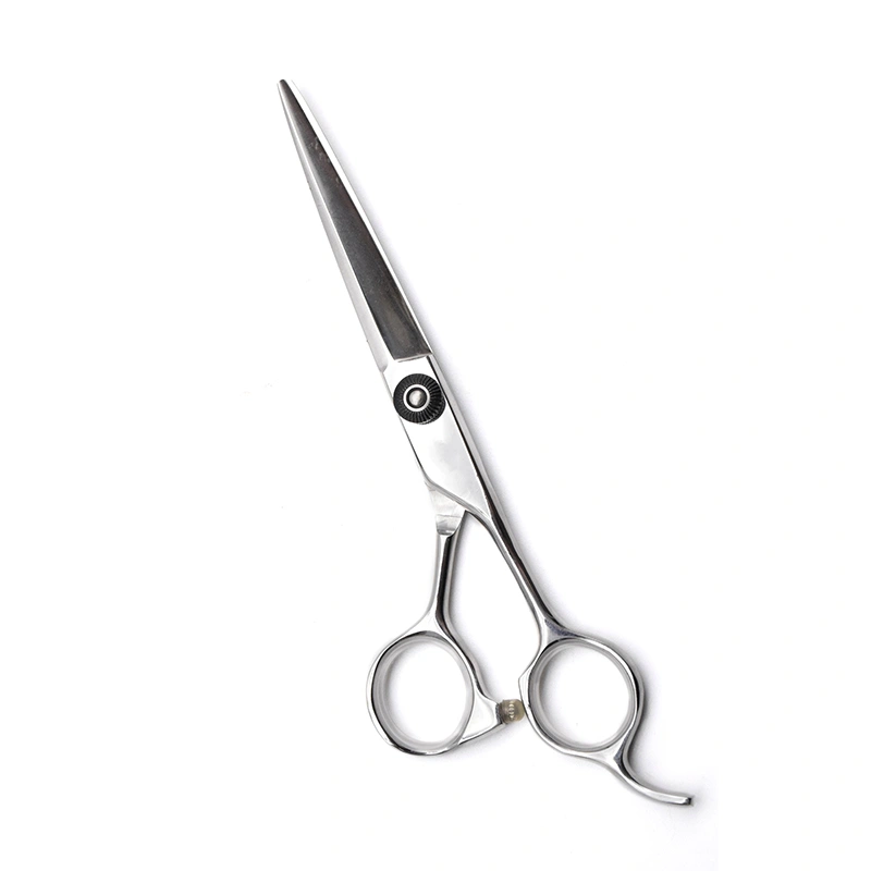 Hair Scissors for Professional Hair Cutting