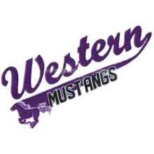 Exquisite Purple letter Chenille Patches