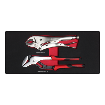 2-Piece 10-Inch Water Pump Pliers and Locking Pliers Set in EVA Foam Storage Tray