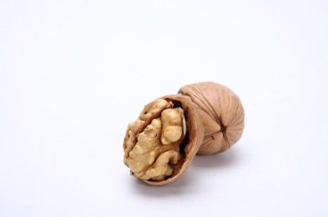 High quality leatheroid walnut