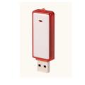 Euro classic plastic USB flash disk