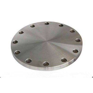 Forged Carbon Steel and Stainless Steel Blind Flanges