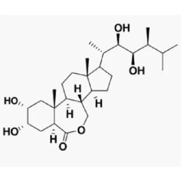 Plant Growth Regulator Epibrassinolide CAS NO 78821-43-9