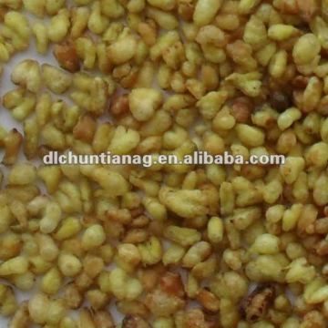 bitter buckwheat kernel