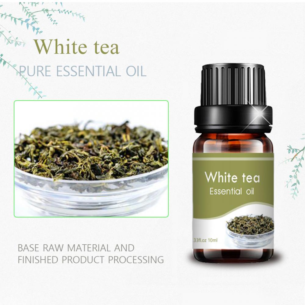 private label wholesale bulk 10ml white tea oil for skincare