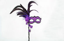 Female Masquerade Masks With Stick / Feather Mardi Gras Masks