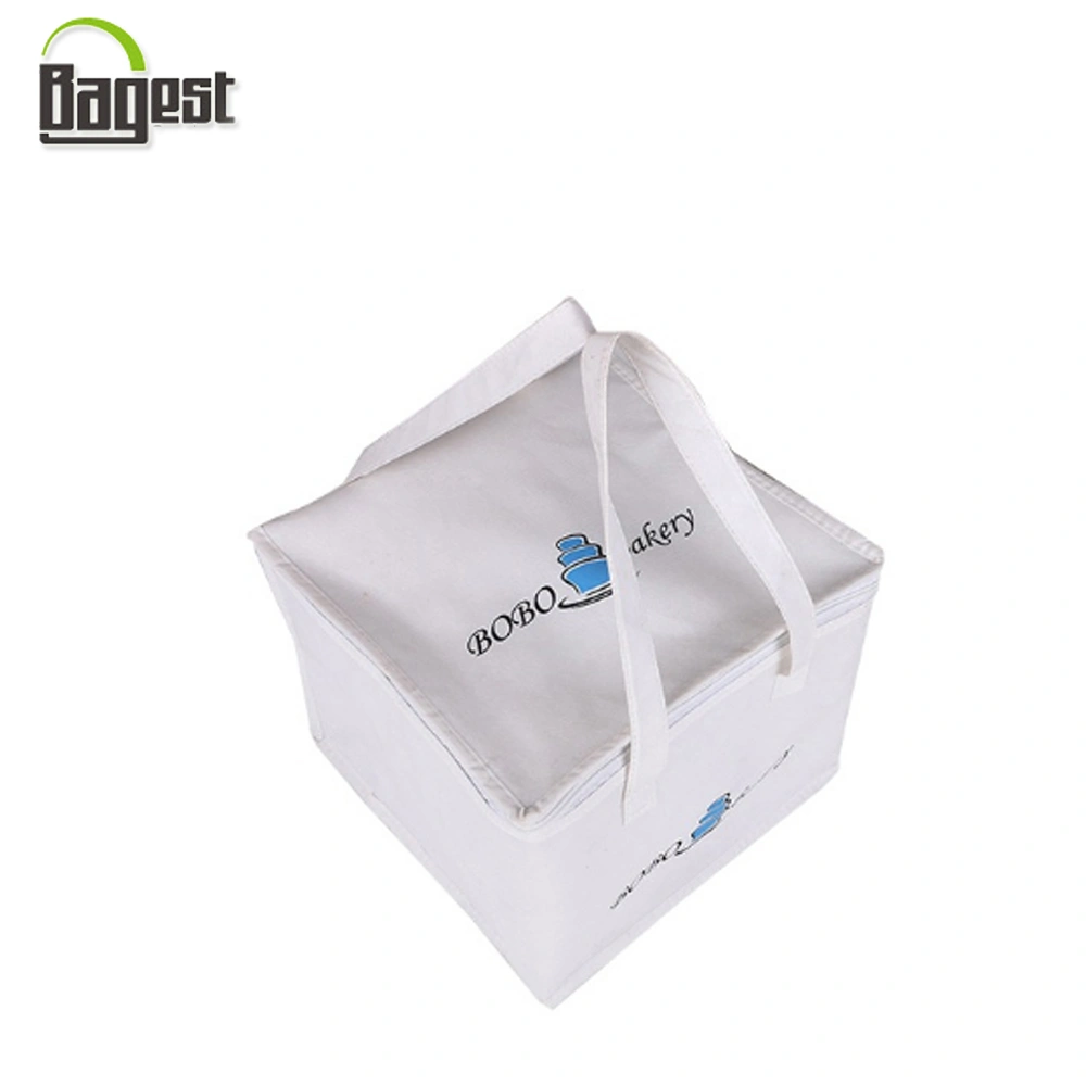 Professional Manufacture Cheap Non Woven Fitness Insulated Cooler Bags