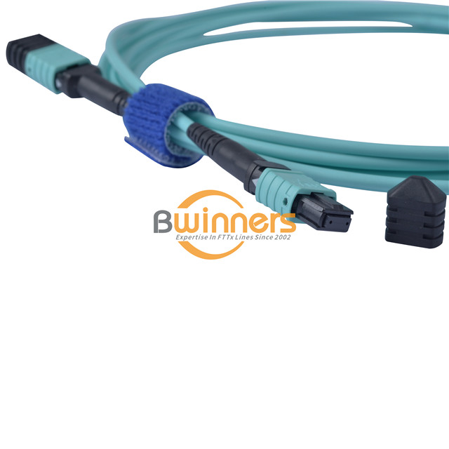 Patch Cord Mtp