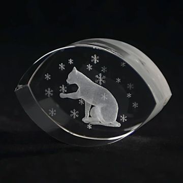 Laser Etched Photo Crystal Cubes