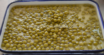 ISO HACCP certification canned green peas