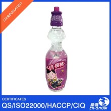 Private Label Carbonated Soft Drink in China