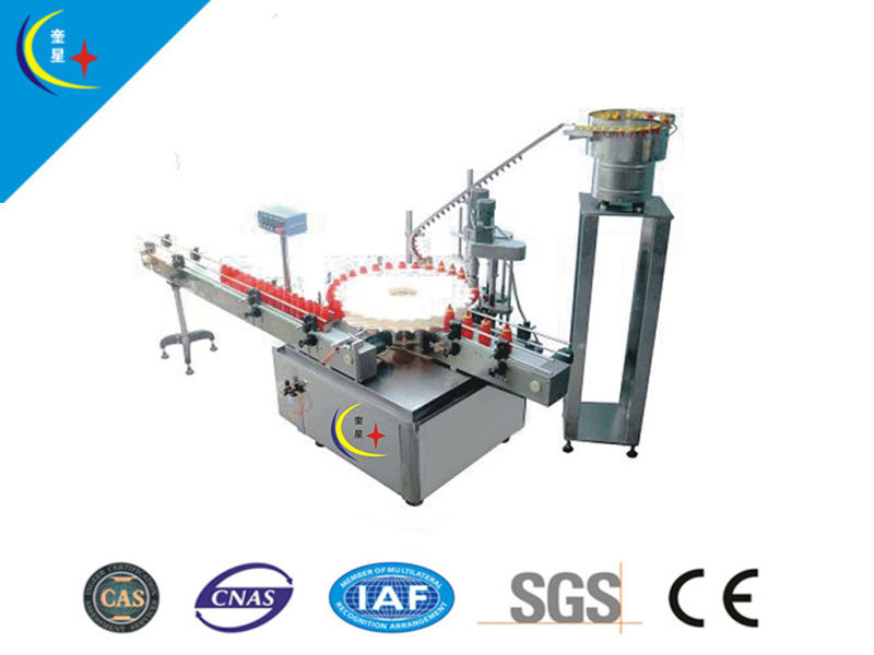 Automatic Screw Capping Machine (YXT-A)