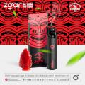 Asia Hot Sales disposable vape pen e-cigarette