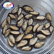 HACCP Certificate Half Shell Mussels Meat With Low Price
