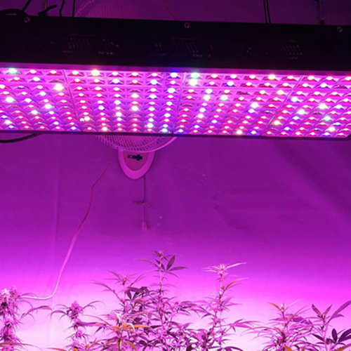 Luz de cultivo LED hidropónica de invernadero