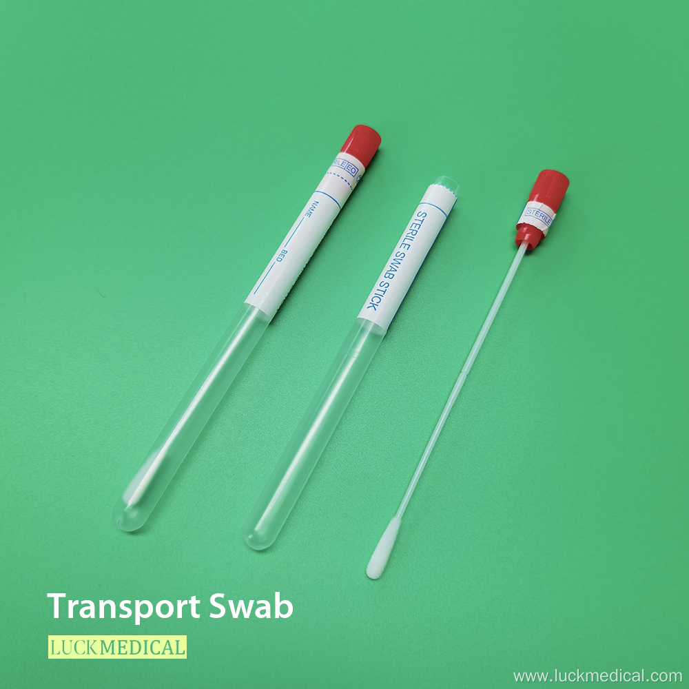 Sampling Transport Swabs Flocking Oral Swab