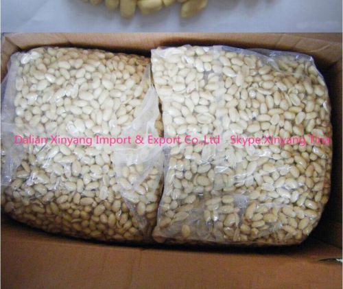 blanched peanuts size 29/33/blanched peanut new crop/new crop chinese long type blanched peanut kernel